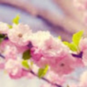 Meet your Posher, Samah